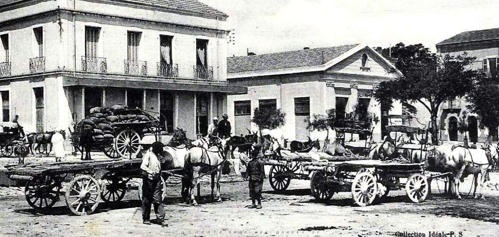 2159- Mascara - Rue de l'Argoub et Olympia2 - 1918.jpg